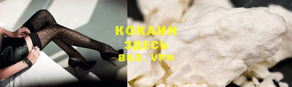 таблы Аша