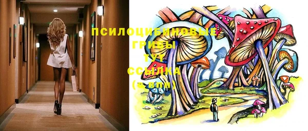 прущие крисы Надым