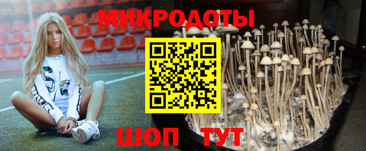 Галлюциногенные грибы Magic Shrooms Кызыл