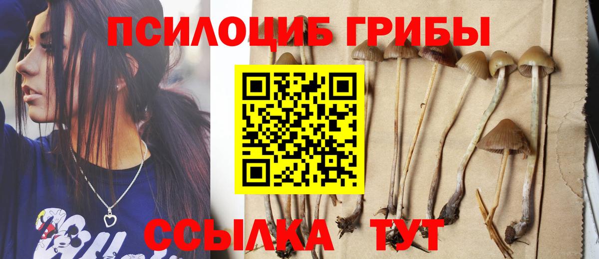 Кызыл  Галлюциногенные грибы мицелий  Вход с VPN 